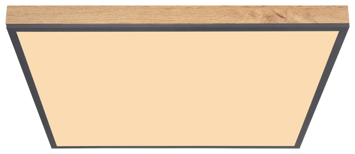 LED PANEL, 59/59/6.5 cm - opál/barvy grafitu, Basics, kov/plast (59/59/6.5cm) - Globo