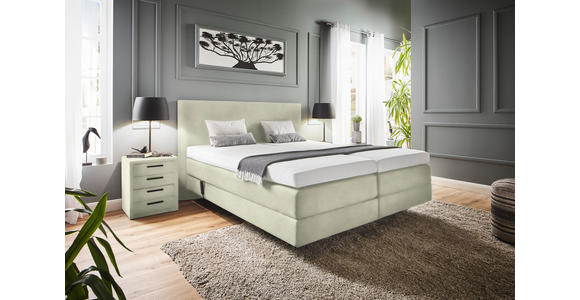 BOXSPRINGBETT 160/200 cm  in Ecru  - Ecru, KONVENTIONELL, Holz/Textil (160/200cm) - Dieter Knoll