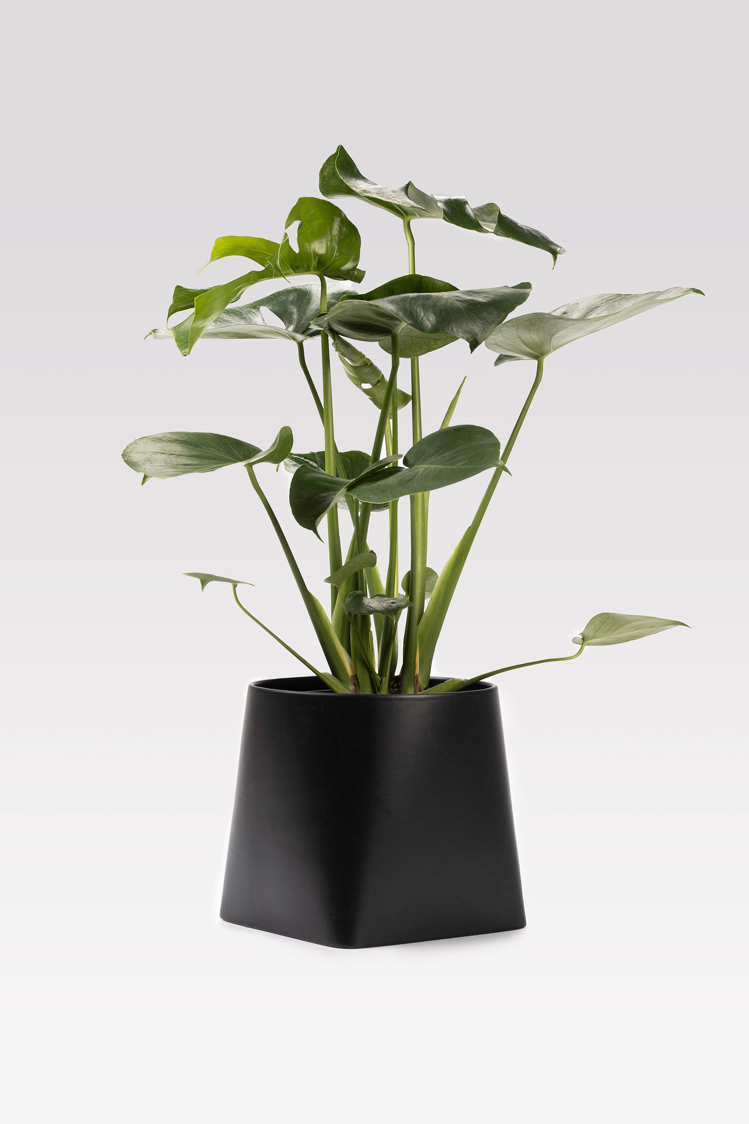 ÜBERTOPF   - Schwarz, Basics, Keramik (22/20/20cm) - Markslöjd