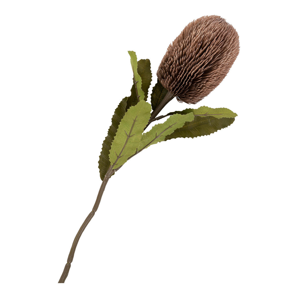 KUNSTBLUME Protea  - Bordeaux, Design