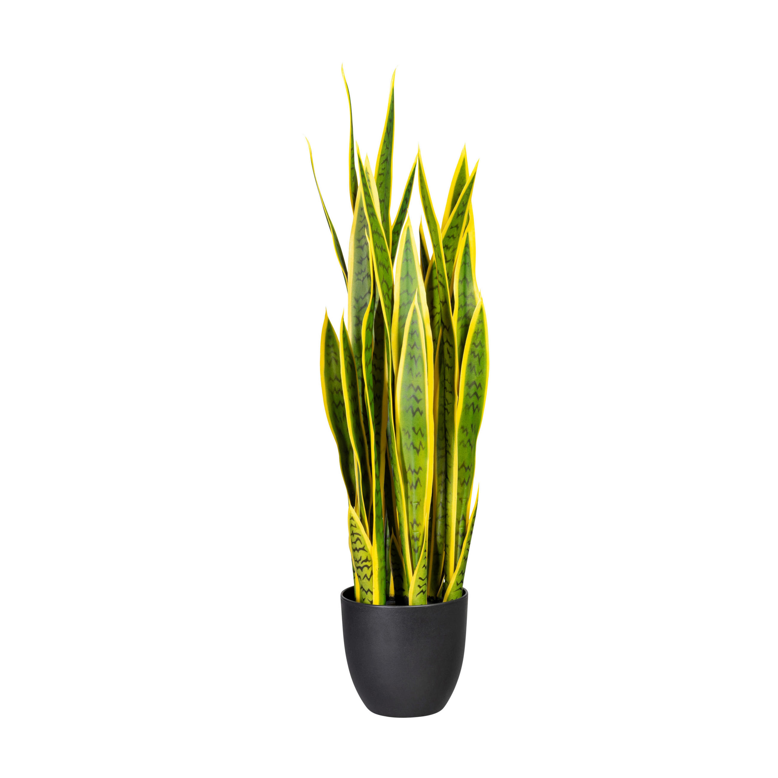 KUNSTPFLANZE Sukkulente 90 cm  - Gelb/Schwarz, Design, Kunststoff (90cm)