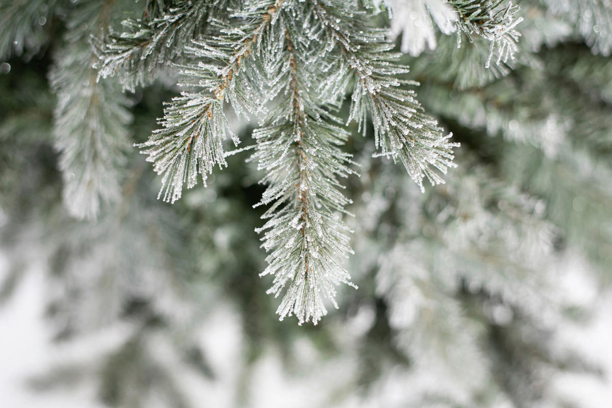 WEIHNACHTSBAUM 180 cm  - Grün, Basics, Kunststoff/Metall (180cm)