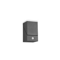 VÄGGLAMPA FÖR UTOMHUS - antracit, Basics, metall/plast (11/9/16cm) - Trio Leuchten