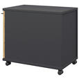 ROLLCONTAINER Hickory  - Anthrazit/Hickory, Design, Holzwerkstoff/Kunststoff (42,7/54,4/60cm) - Moderano