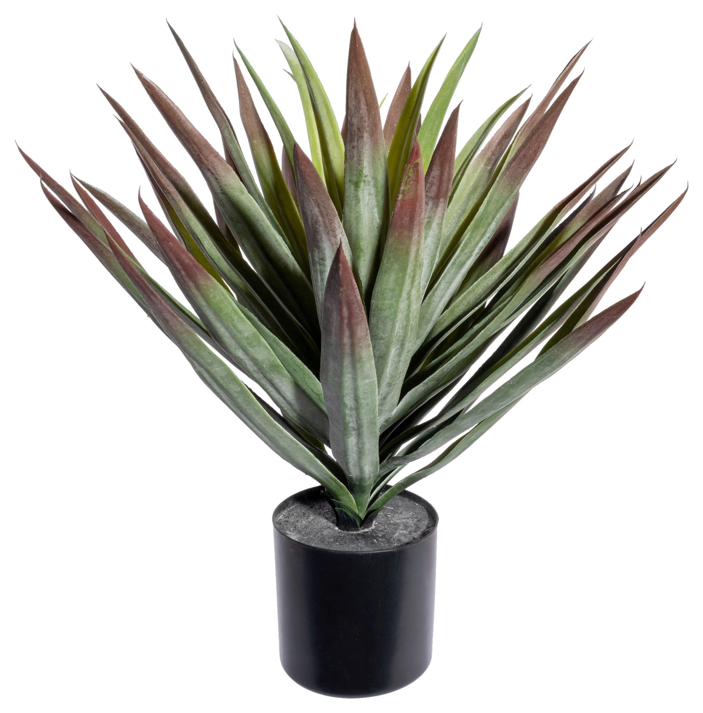 KUNSTPFLANZE Sukkulente 48 cm  - Rot/Schwarz, Design, Kunststoff (48cm) - P & B