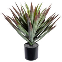 KUNSTPFLANZE Sukkulente 48 cm  - Rot/Schwarz, Design, Kunststoff (48cm) - P & B