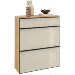 SCHUHKIPPER  in 84/102/31 cm  - Eichefarben/Anthrazit, Design, Glas/Holz (84/102/31cm) - Dieter Knoll