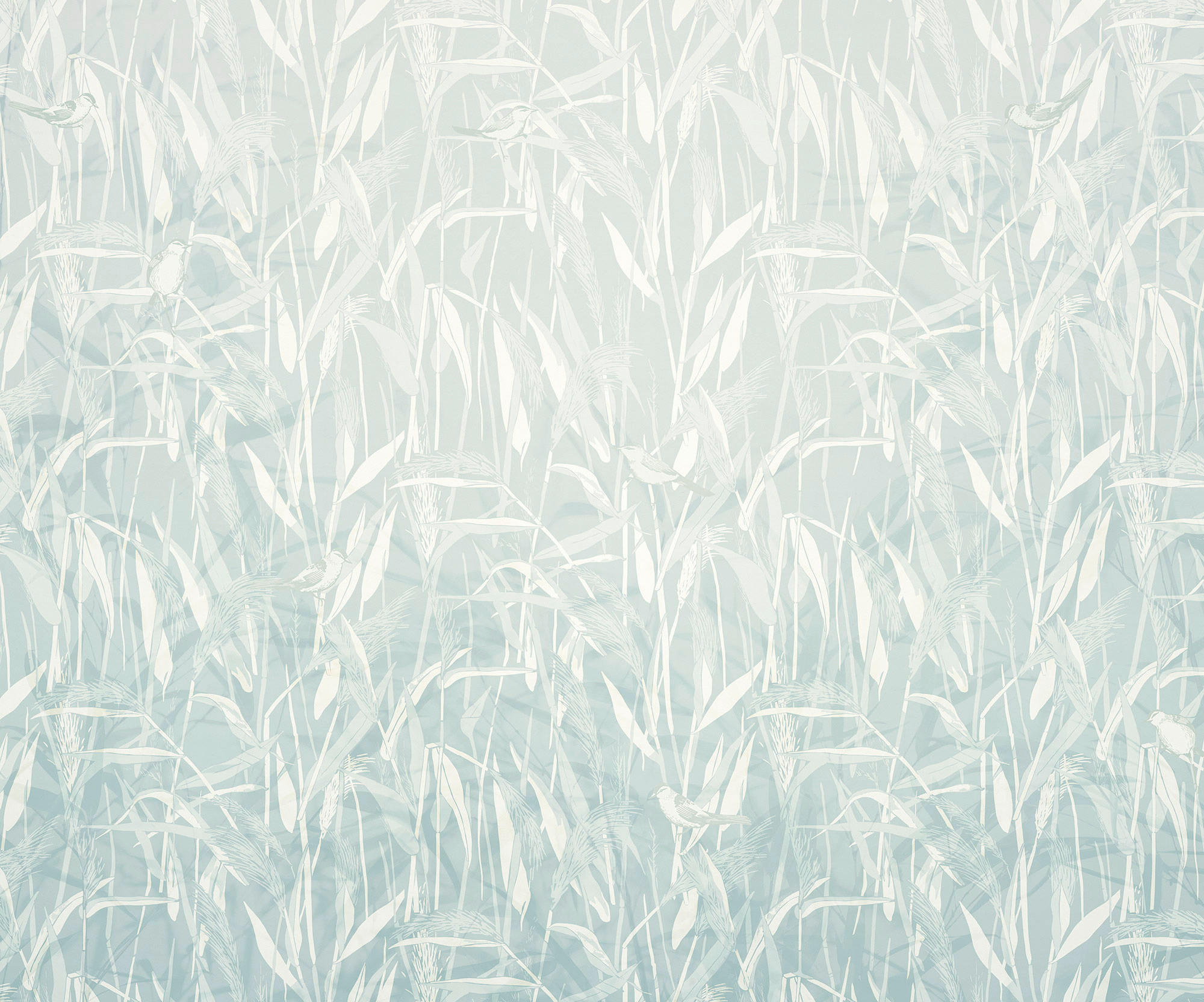Xora Vliestapete Weiß, Türkis 300x250 cm