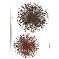DEKOSTICKER 50/70 cm     - Klar/Braun, Natur, Kunststoff (50/70cm) - Komar