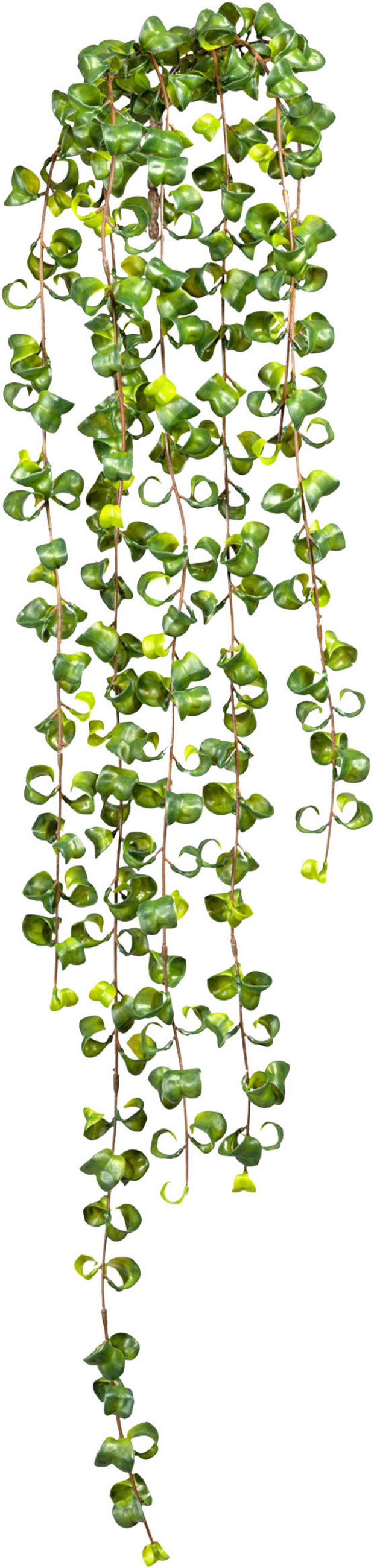KUNSTPFLANZE 100 cm  - Grün, Design, Kunststoff (100cm) - P & B