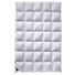 GANZJAHRESBETT 135/140/200 cm - Champagner, Basics, Textil (135/140/200cm) - Billerbeck GANZJAHRESBETT 135/140/200 cm - Champagner, Basics, Textil (135/140/200cm) - Billerbeck