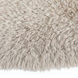 HOCHFLORTEPPICH 160 cm Beige  - Beige, Basics, Textil (160cm) - Boxxx