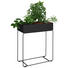 BLUMENSTÄNDER in Metall - Schwarz, Design, Metall (60,5/75/25,5cm) BLUMENSTÄNDER in Metall - Schwarz, Design, Metall (60,5/75/25,5cm)