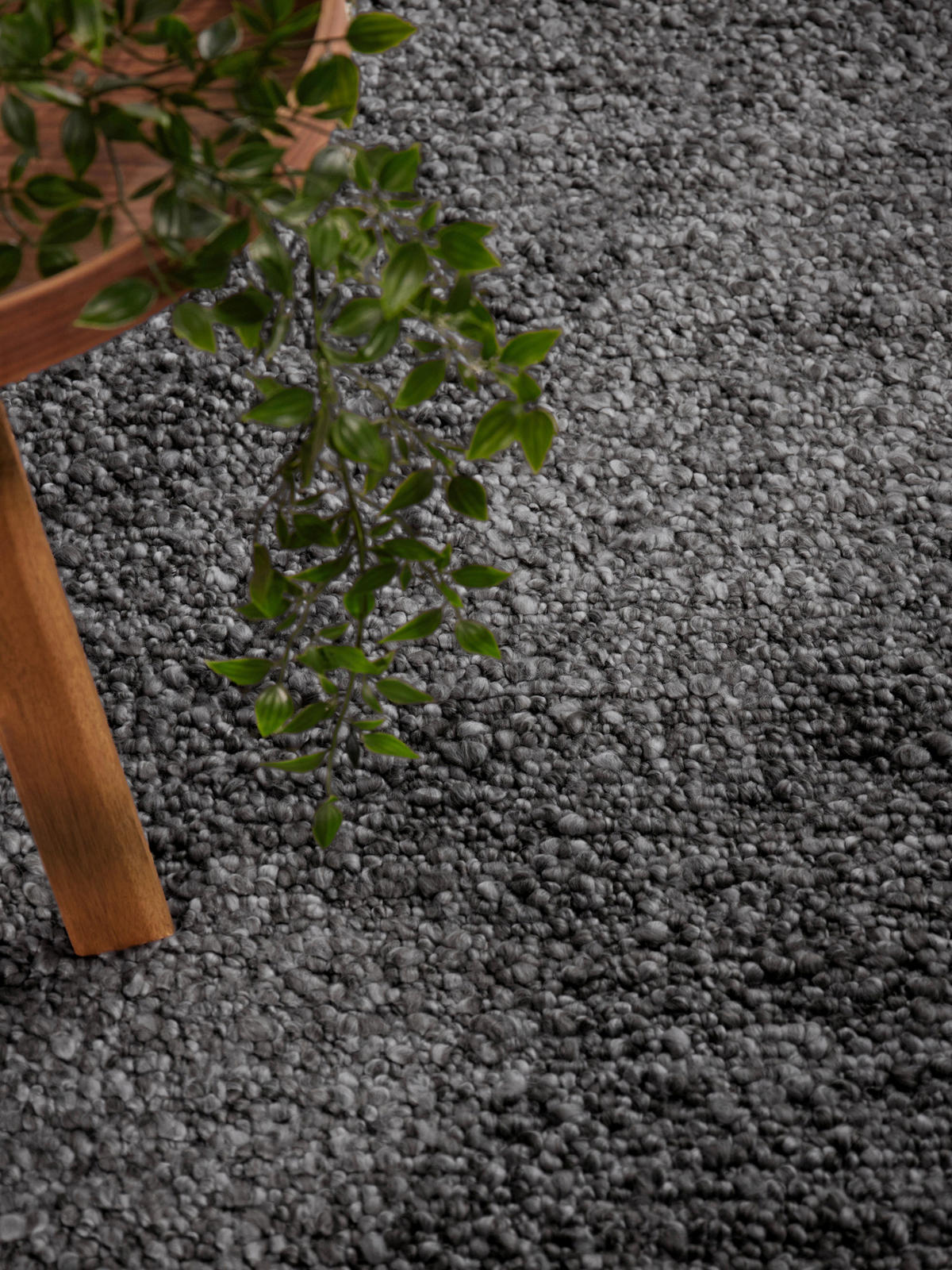 WEBTEPPICH 120/170 cm Notting Hill Dunkelgrau  - Dunkelgrau, Basics, Textil (120/170cm) - Ted Baker