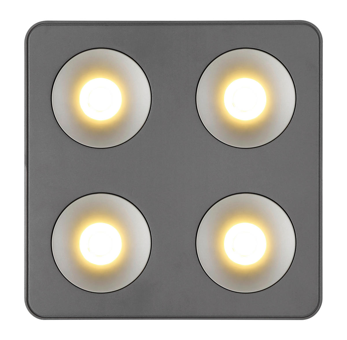 LED ZÁŘIČ, 22.4/22.4/5.5 cm - čiré/tmavě šedá, Konvenční, kov/plast (22.4/22.4/5.5cm) - Globo
