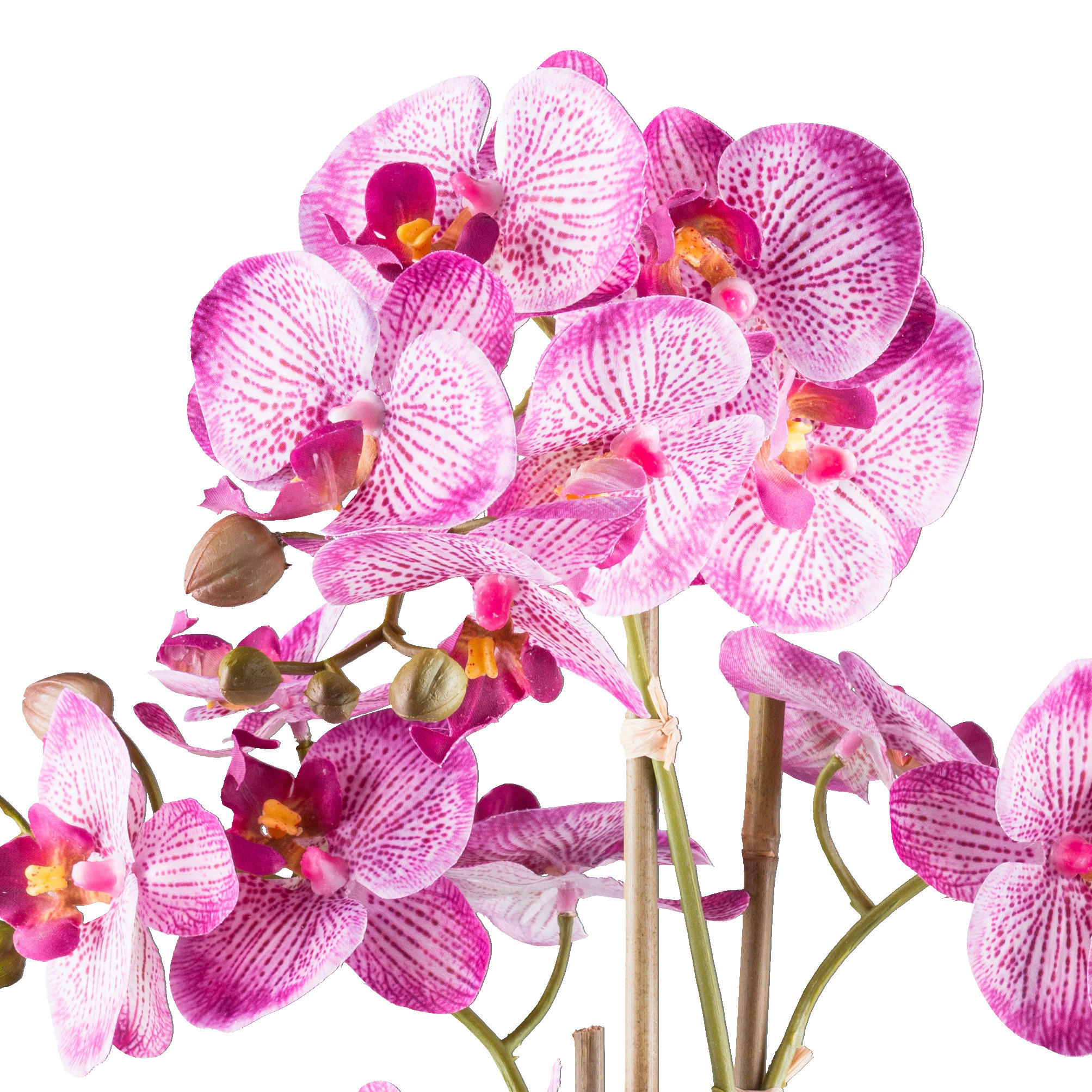 KUNSTPFLANZE Orchidee 62 cm  - Pink/Silberfarben, Design, Keramik/Kunststoff (62cm) - P & B