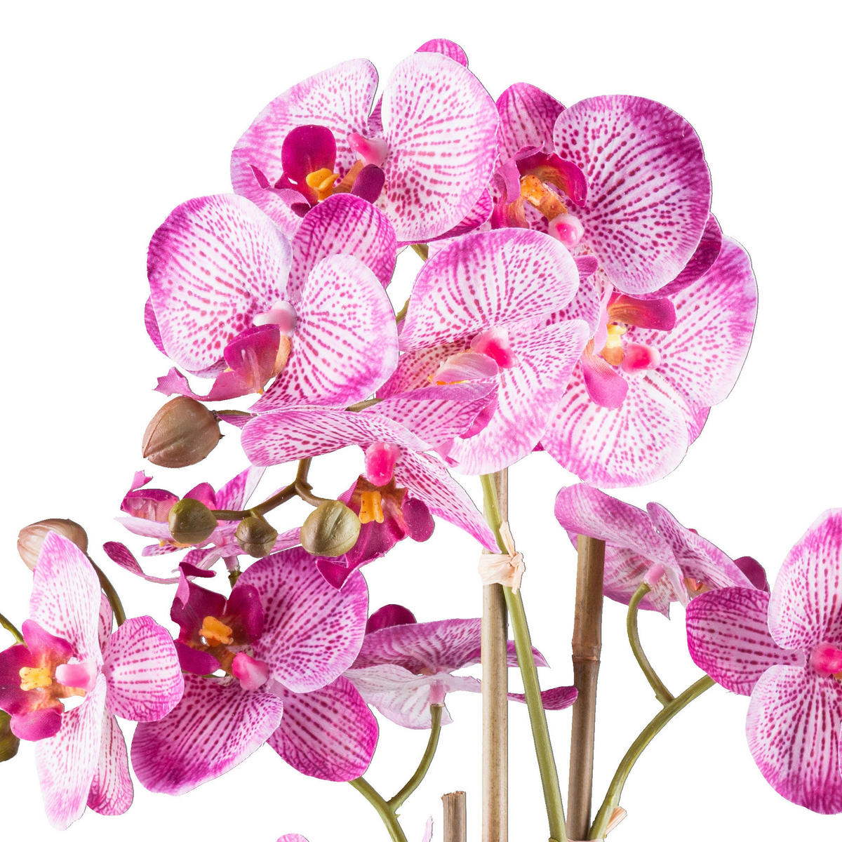 KUNSTPFLANZE Orchidee 62 cm  - Pink/Silberfarben, Design, Keramik/Kunststoff (62cm) - P & B