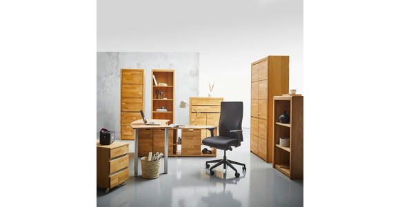 AKTENSCHRANK 95/201/41 cm  - Wildeiche/Edelstahlfarben, KONVENTIONELL, Holz/Holzwerkstoff (95/201/41cm) - Linea Natura