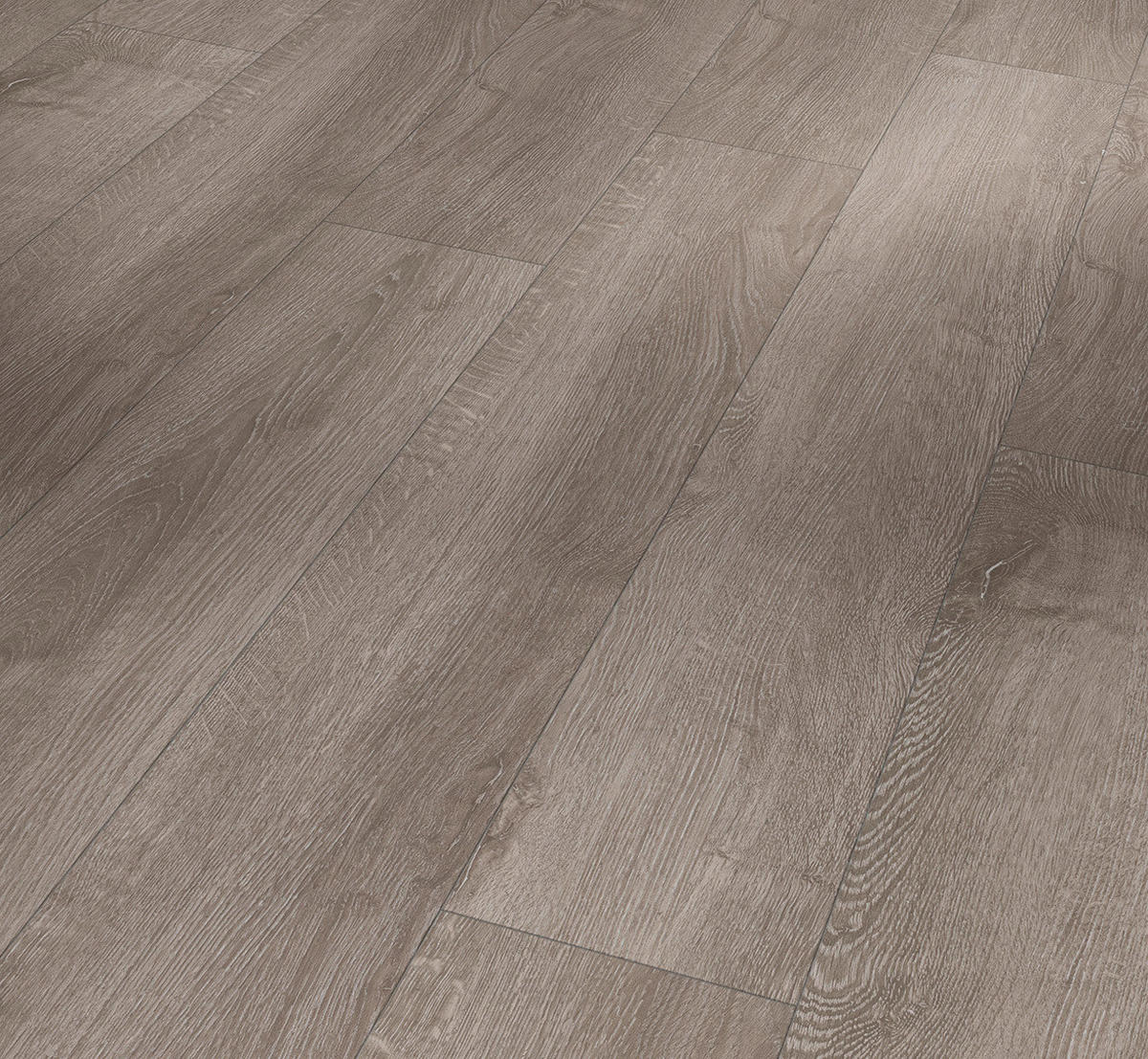 LAMINATBODEN Laminat Basic 400  per  m² - Eichefarben, Basics, Holzwerkstoff (128.5/19.4/0.8cm) - Parador