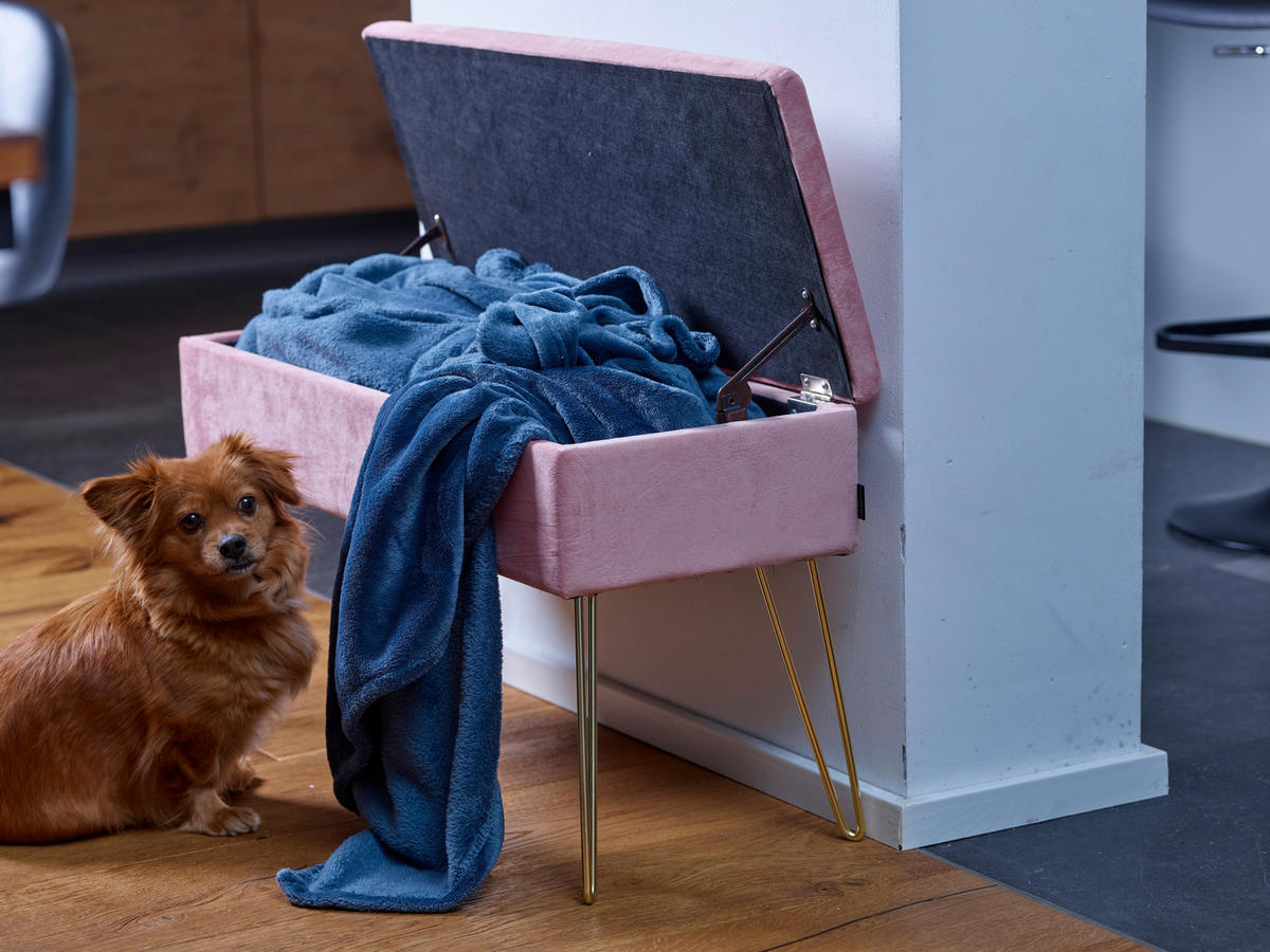 LAVICA S ÚLOŽNÝM PRIESTOROM, textil,  - zlatá, Design, kov/textil (75/42cm) - Echtwerk