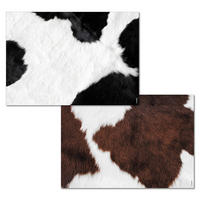 TISCHSET Papier Multicolor 42/29.7 cm  - Multicolor, Basics, Papier (42/29.7cm)