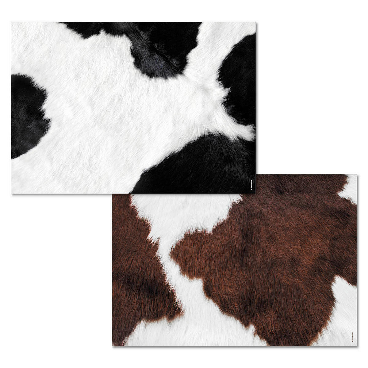 TISCHSET Papier Multicolor 42/29.7 cm  - Multicolor, Basics, Papier (42/29.7cm)