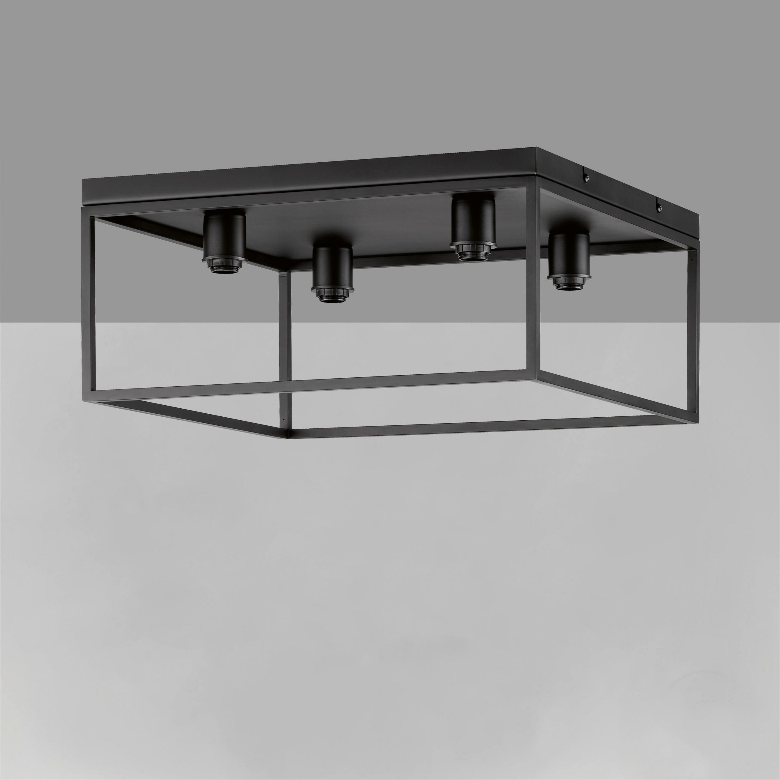 DECKENLEUCHTE    16/45/20,50 cm  - Schwarz, Basics, Metall (16/45/20,50cm) - Fischer & Honsel