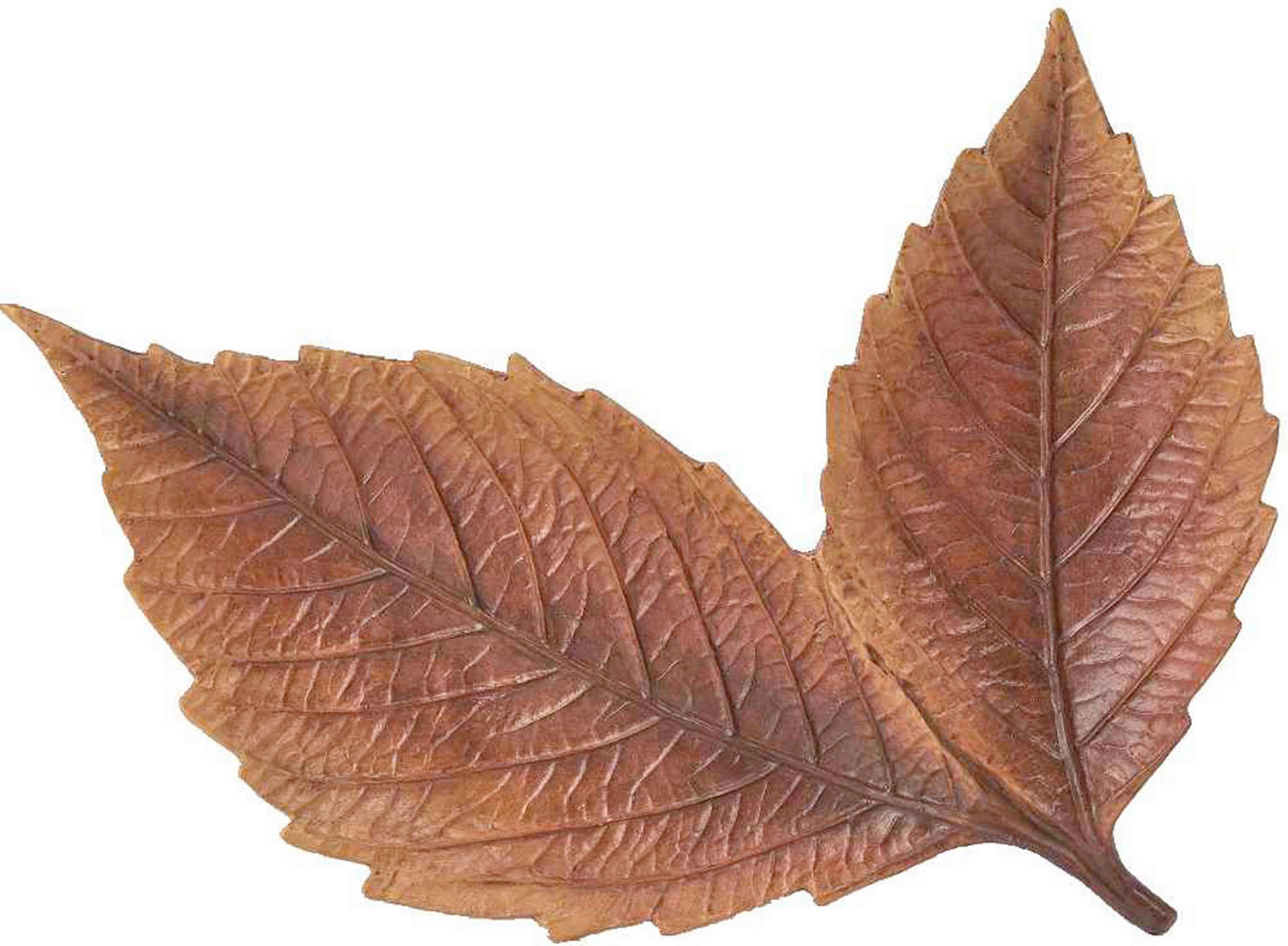 Ambia Home Dekoblatt Braun 3.2x21.5x27.3 cm