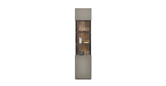 VITRINE Hellgrau 46,9/205,5/37,1 cm - Hellgrau/Graphitfarben, Design, Glas/Holzwerkstoff (46,9/205,5/37,1cm) - Dieter Knoll