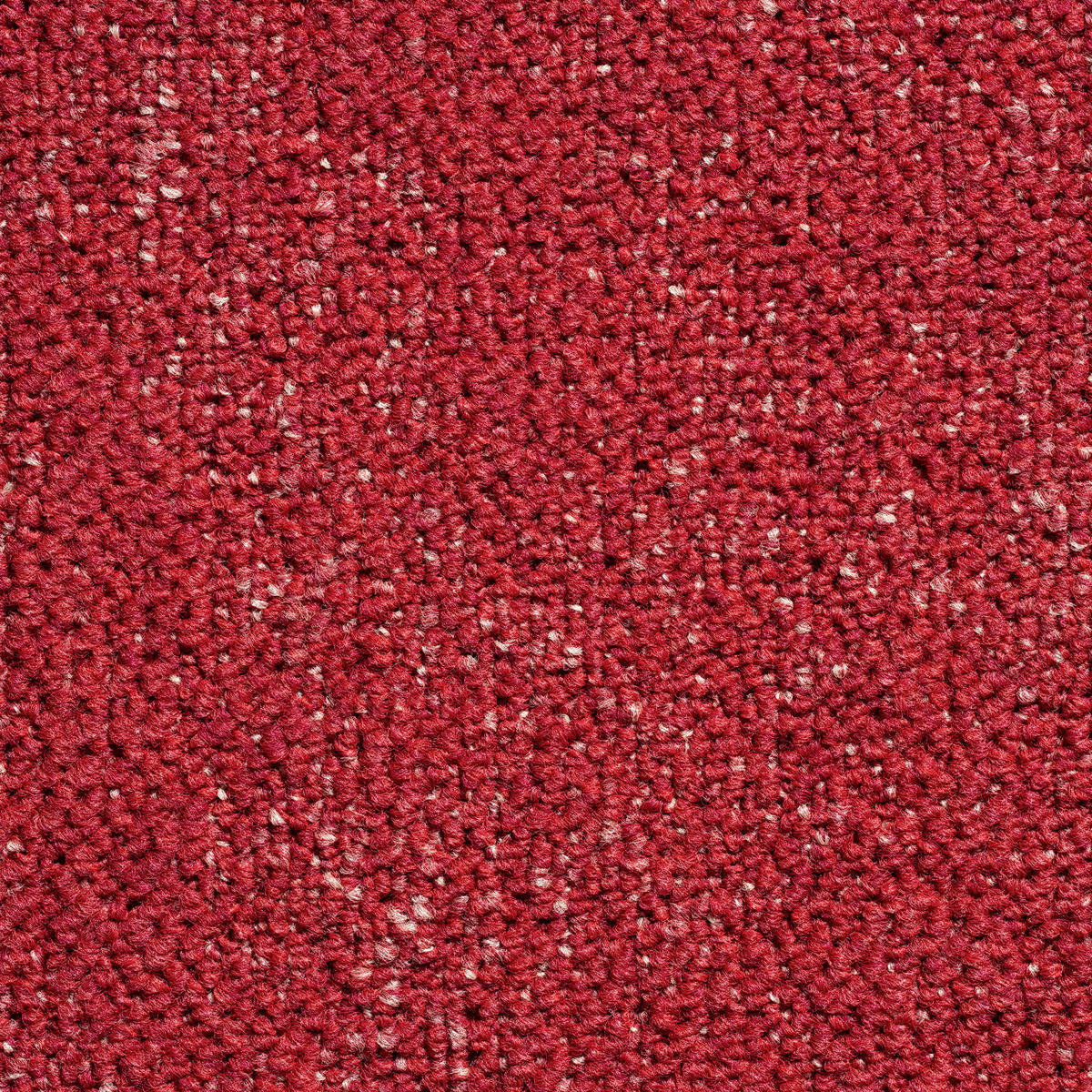 TEPPICHFLIESE 50/50 cm  in  - Basics, Textil (50/50cm)