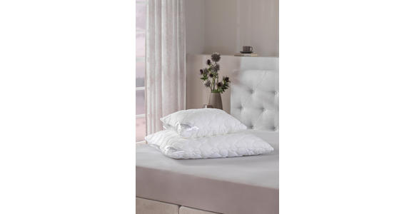 KOPFPOLSTER 40/60 cm   - Weiß, Basics, Textil (40/60cm) - Sleeptex