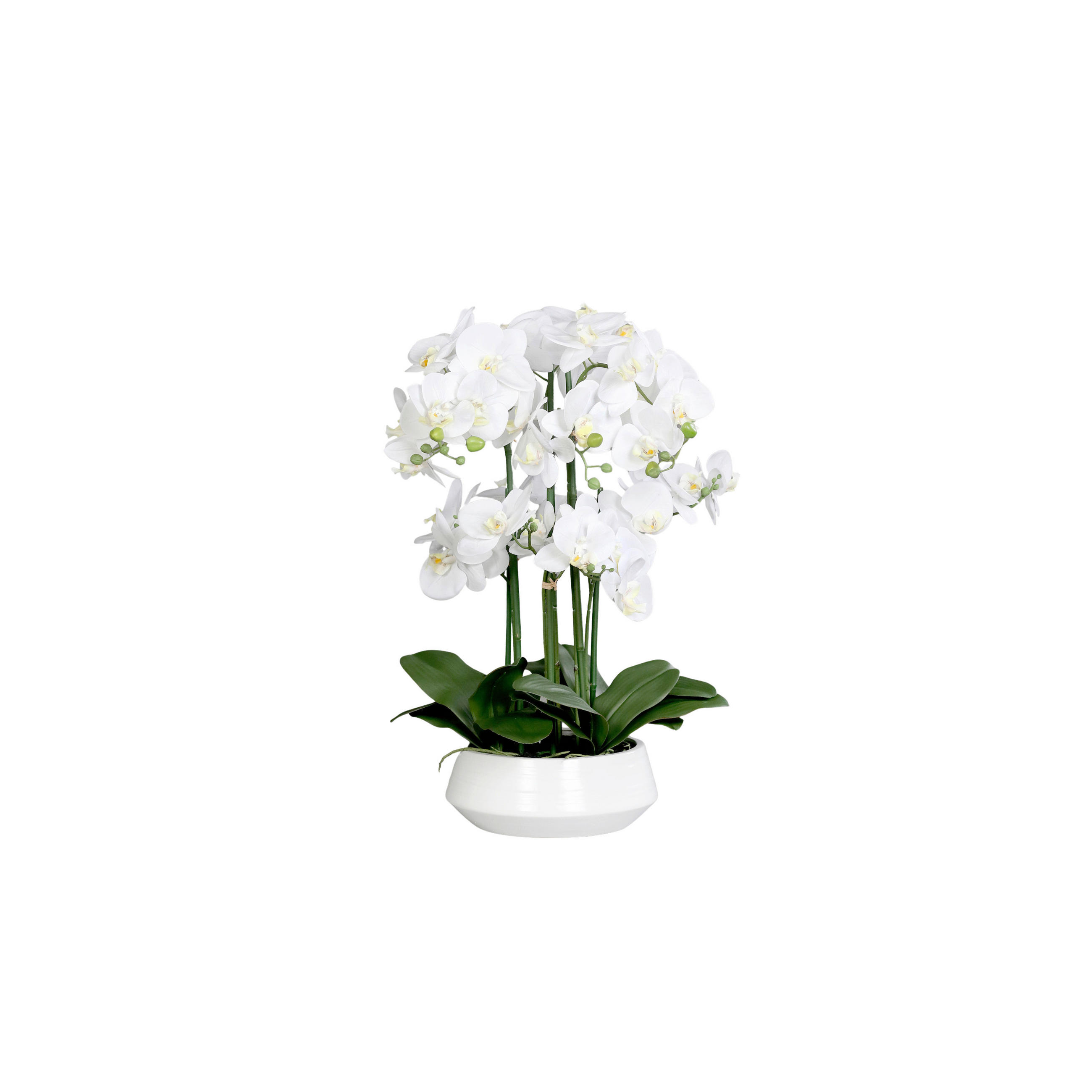 ORCHIDEE - Weiss/Creme, Basics, Keramik/Kunststoff (63cm)