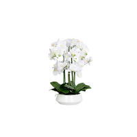 ORCHIDEE - Weiss/Creme, Basics, Keramik/Kunststoff (63cm)
