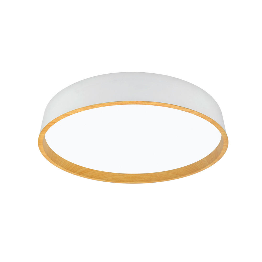 STROPNÉ LED SVIETIDLO, 50/8 cm  - biela, Basics, kov/plast (50/8cm)