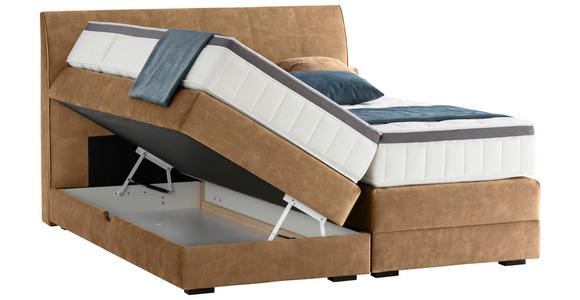 BOXSPRINGBETT 180/200 cm in Goldfarben - Wengefarben/Goldfarben, KONVENTIONELL, Holz/Textil (180/200cm) - Novel