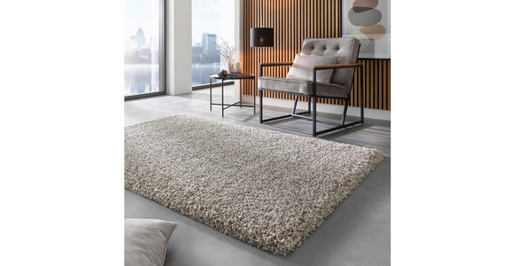 HOCHFLORTEPPICH 160/230 cm Weiß, Hellgrau  - Hellgrau/Weiß, Basics, Textil (160/230cm) - Novel