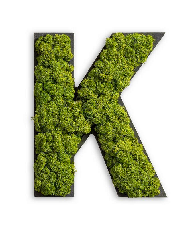 MOOSBILD Stylegreen  - Schwarz/Grün, Basics, Naturmaterialien/Holz (26/20/4cm)