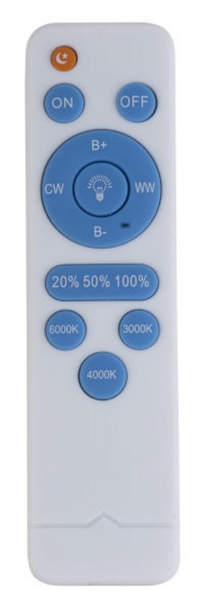 LED-DECKENLEUCHTE 41/10 cm   - KONVENTIONELL, Kunststoff/Metall (41/10cm)