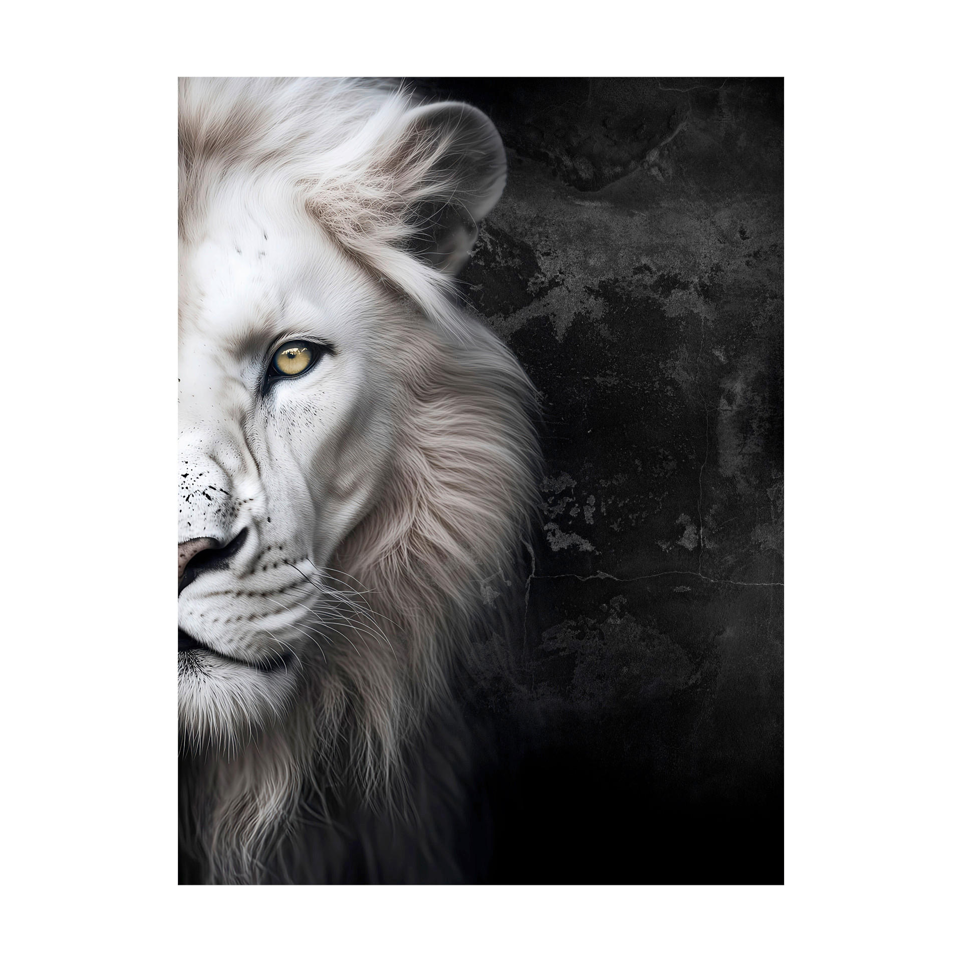 LEINWANDBILD Tiere 60/80 cm  - Schwarz/Weiß, Basics, Holz/Textil (60/80cm)