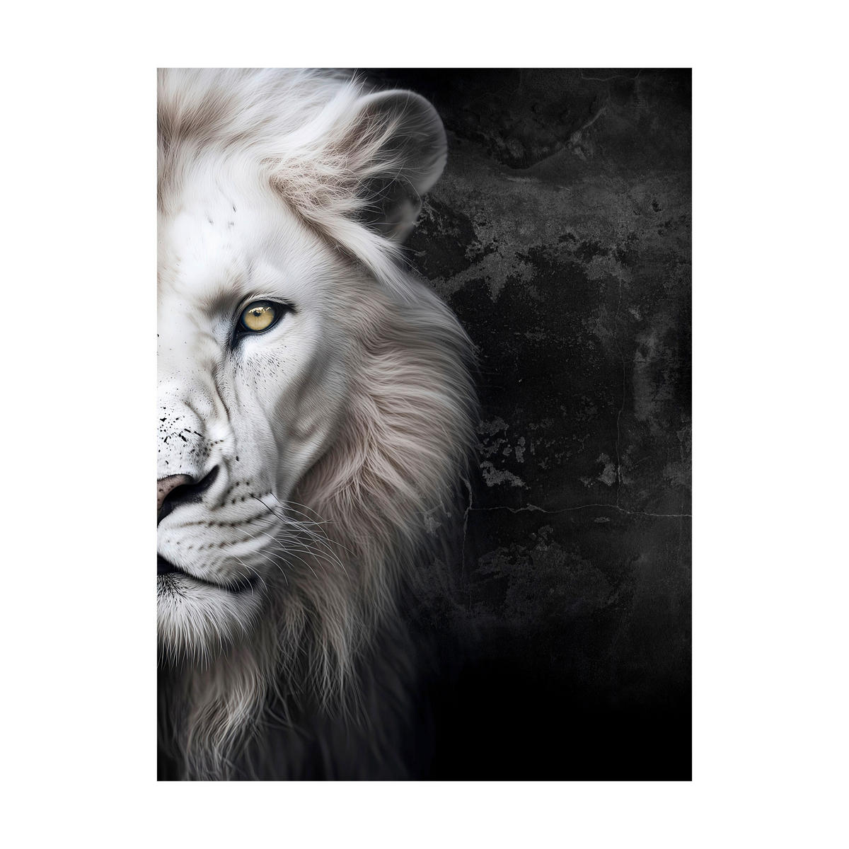 LEINWANDBILD Tiere 60/80 cm  - Schwarz/Weiß, Basics, Holz/Textil (60/80cm)