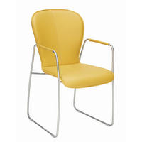 ARMLEHNSTUHL  in Edelstahl Echtleder pigmentiert  - Edelstahlfarben/Gelb, Design, Leder/Metall (48/91/61cm) - Bert Plantagie