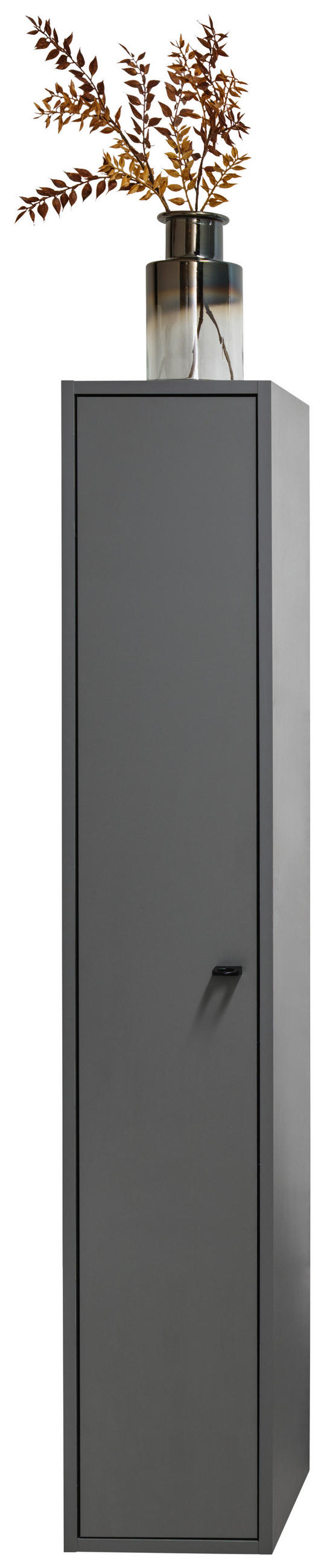 MIDISCHRANK 25/139,7/30 cm  - Anthrazit/Schwarz, KONVENTIONELL, Holzwerkstoff/Metall (25/139,7/30cm) - Stylife