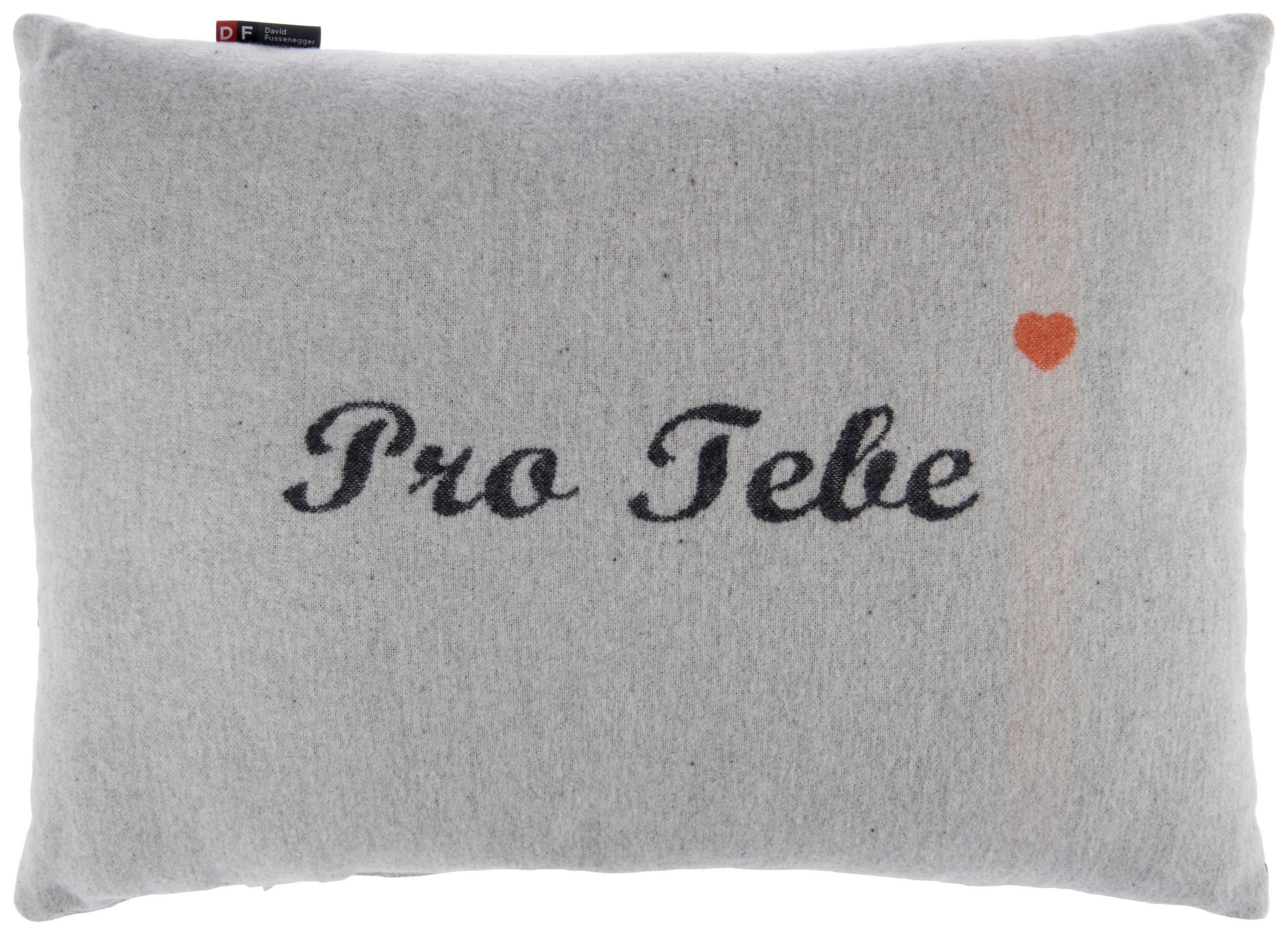 DEKORAČNÍ POLŠTÁŘ 40/60 cm - šedá, Design, textil (40/60cm) - David Fussenegger