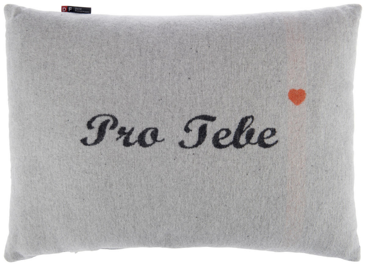 DEKORAČNÝ VANKÚŠ 40/60 cm - sivá, Design, textil (40/60cm) - David Fussenegger