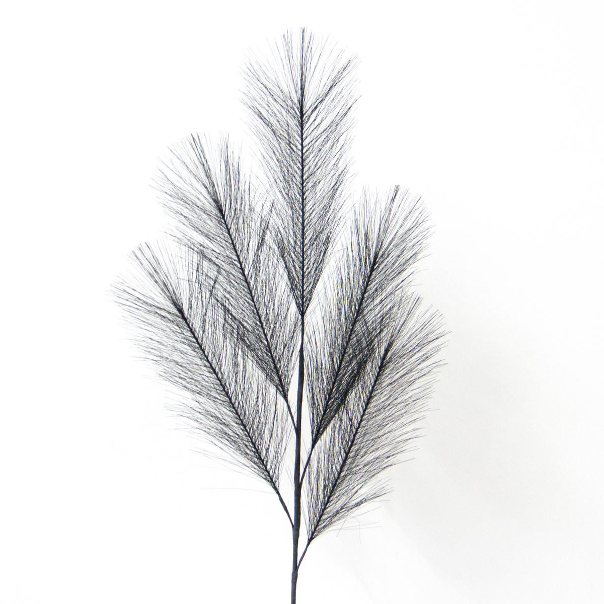 KUNSTPFLANZE Pampasgras  - Schwarz, Basics (110cm)