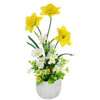 NARZISSE  - Gelb, Basics (22/54cm)