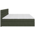 BOXBETT 160/200 cm  in Dunkelgrün  - Dunkelgrün/Schwarz, KONVENTIONELL, Holz/Kunststoff (160/200cm) - Carryhome