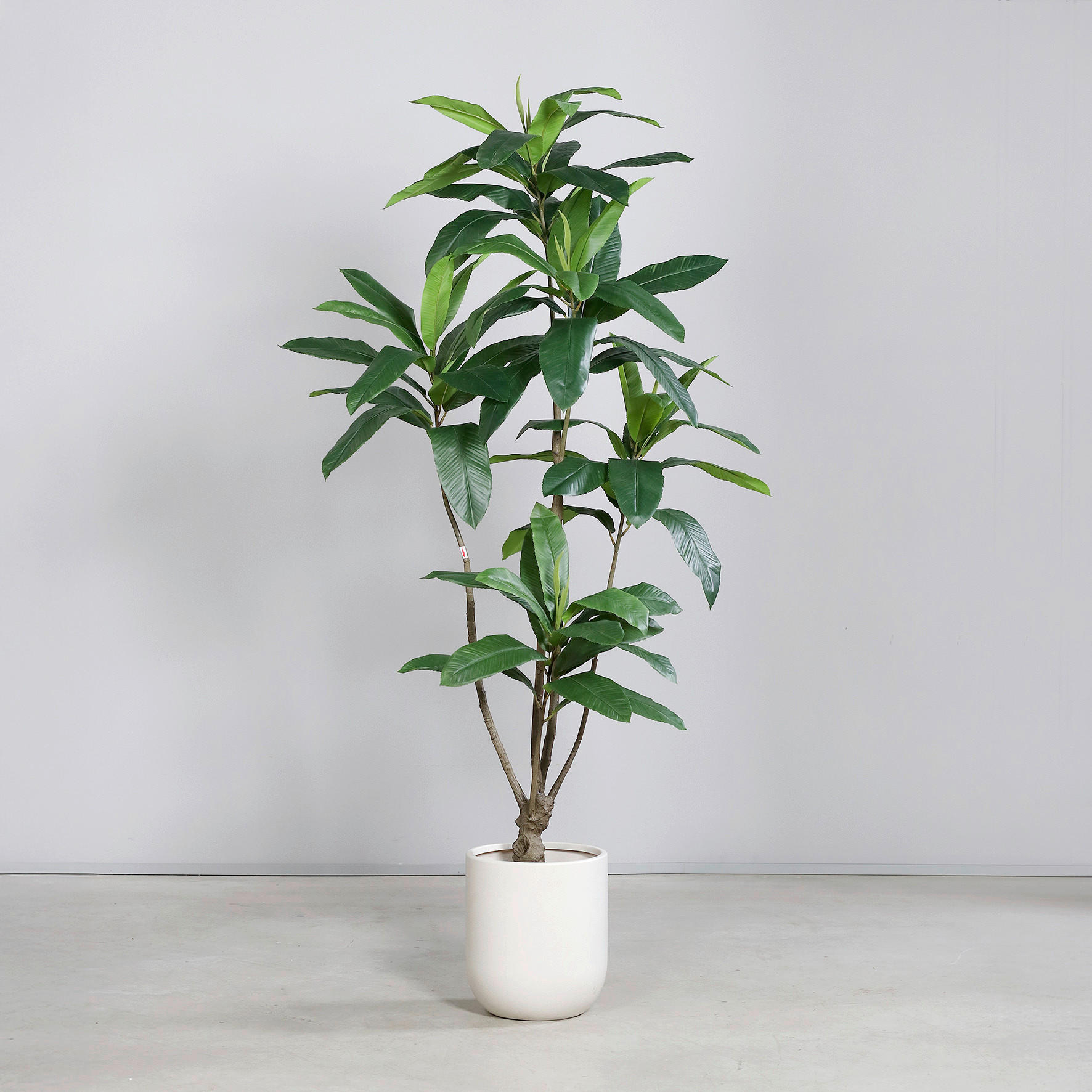 PFLANZENTOPF - Grün, Basics, Kunststoff (210cm)