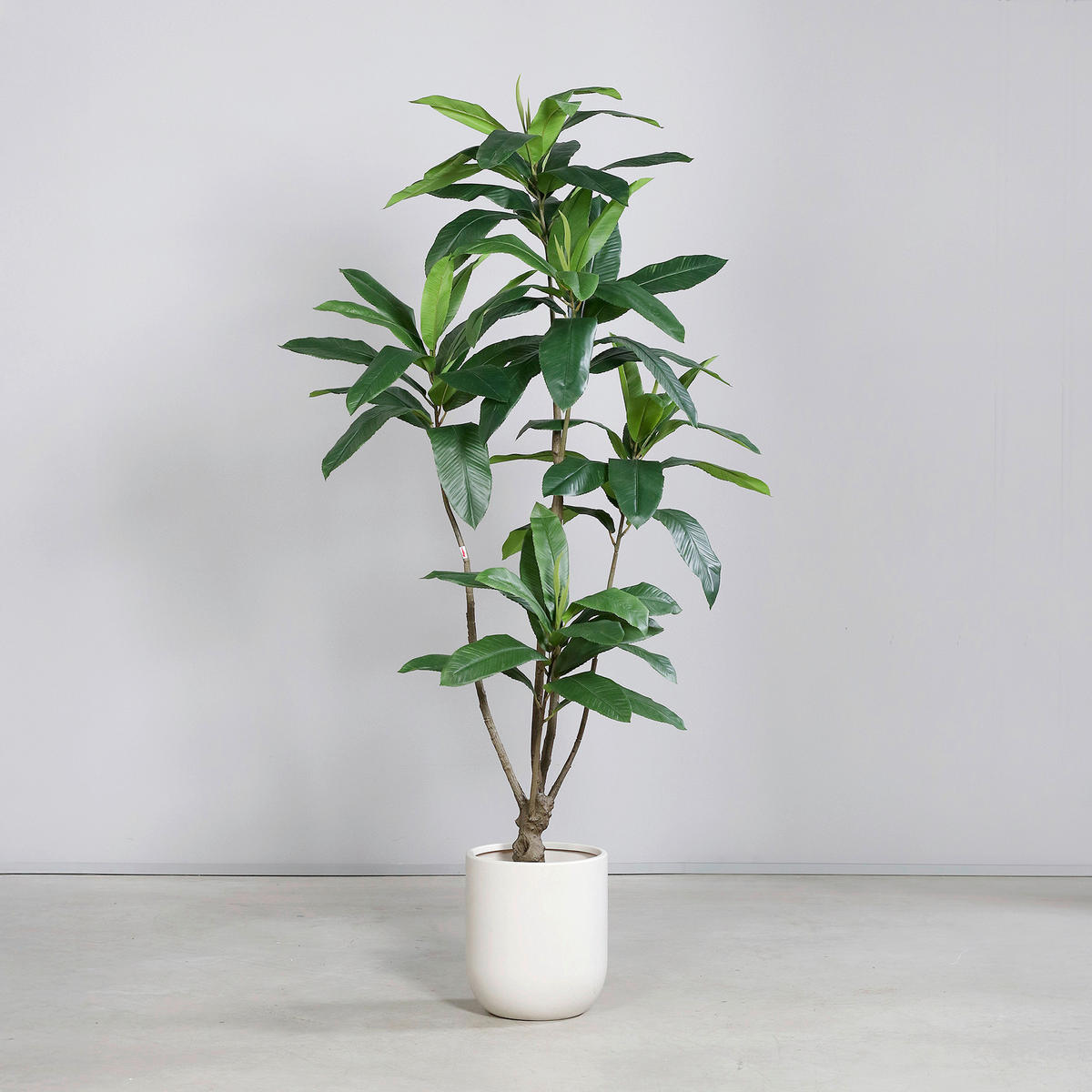 PFLANZENTOPF - Grün, Basics, Kunststoff (210cm)