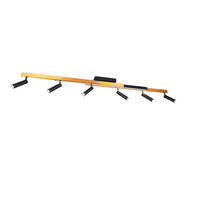 LED-STRAHLER - Design (180/23/8,5cm) - Trio Leuchten